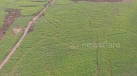 航拍80后青年油菜花地创作妻子巨幅画像为她庆生