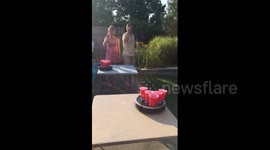 This 'robot' version of beer pong is amazing