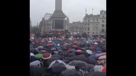 Anti-Brexit protest at Trafalgar Square, London