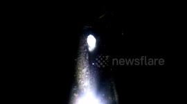 Tiny creatures with LED light