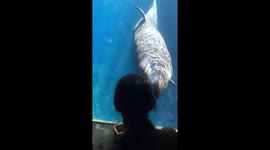 Whale dances to music box