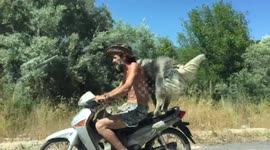 Man takes his dog for a ride on his motorcycle