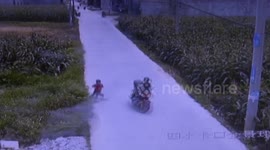Girl survives being crashed