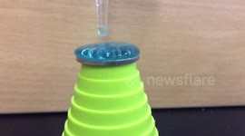 Surprising number of water drops on a coin