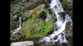 Water fall spring water nature
