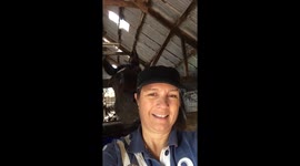 Bobber Dazzler the horse whispering in my ear