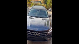 Black Bear Gets Into Unlocked Car