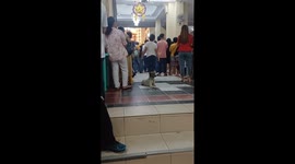 Pet dog waits patiently outside church for owner attending mass