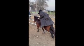 Horse rider falls after coat gets caught in fence in Henan, China