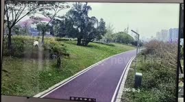 Mother and daughter attacked by vicious dogs in Guangdong, China