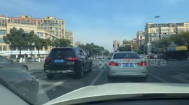 Two dogs barking at each other at traffic light in Zhejiang, China