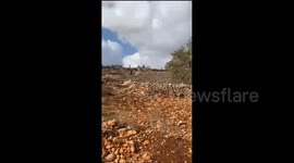 Palestine: Israeli settler militias attack Palestinian farmers during their raid on the outskirts of the village of Burqa, east of Ramallah
