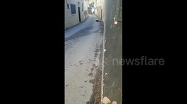 West Bank: Israeli forces storm the town of Alar, north of Tulkarm in the West Bank