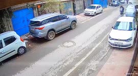 Moped rider seen on CCTV 'stealing plant in broad daylight'