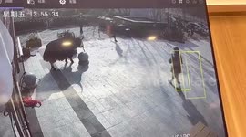 Yak attacks woman distracted by phone as she walks past building in China