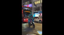 Christmas Tree Rides Bicycle In Manhattan