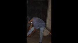 Dog Rescued from Water Tank