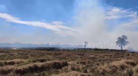 Rogue farmers begin burning crops as annual pollution starts in Thailand