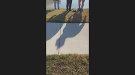 Stranger Saves Dog From Frozen Pond