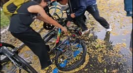 Fallen leaves form bicycle shape in Hangzhou, China