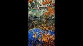Stunning autumn scenery of red maple leaves in Zhejiang, China