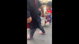 Baby goat pushes toddler out of the way to get food