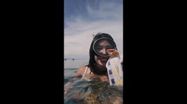Snorkeller finds pair of false teeth floating in the water