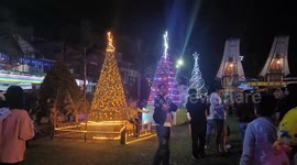 Christmas trees bring joy in Muslim majority Indonesia