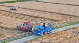 China: China's 2024 grain output tops record 700 million tons