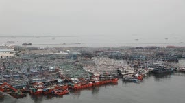 Indonesia: Ship Fixer in Jakarta
