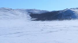Snow covers over 60 pct of Mongolia