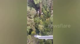 Missing plane found in forest as authorities search for survivors in Papua New Guinea