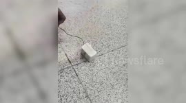India: 300 grams of gold hidden in electrical adapter seized by customs officials