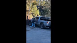 Large Bear Locked Itself In Tacoma