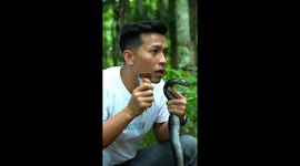 Man Mistakes Snake for Ice Cream