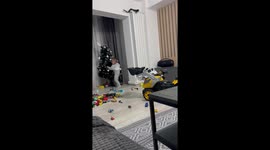 Mother slips chasing son after Christmas tree mishap in Călărași, Romania