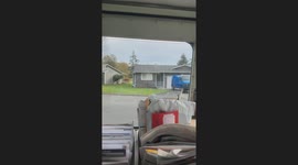 Man mistakes deer for statue in Anacortes, Washington, USA