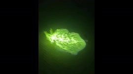 Chemistry class ignites green flames experiment in China