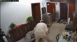 Corgi finds owner playing hide and seek in Liaoning