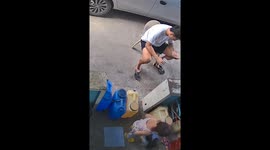 Cat steals chick in Rizal, Philippines