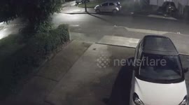 Man caught beating XL bully dog and whipping it with metal lead