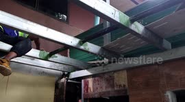 Cobra caught hiding in family's ceiling