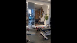 Pet cat scratches owner's leg at gym in China