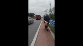 Two pet dogs sit comfortably on the back of bicycle