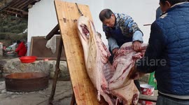 China: Butchering New Year's Pig