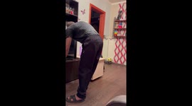 Clever Dog Deceives Test of Patience