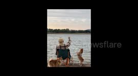 China: A Dog Retrieves the Stone the Man Throws to the Lake