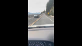 Driver Spots Cougar on Mountain Road
