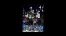 Extreme Christmas Decorations Like Dripping Diamonds