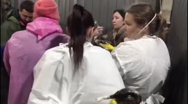 Birds rescued and cleaned after oil spill in Krasnodar Krai, Russia